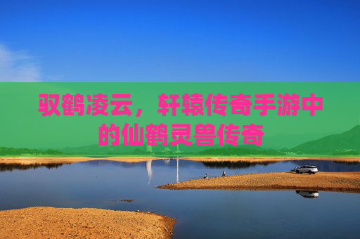 驭鹤凌云,轩辕传奇手游中的仙鹤灵兽传奇 驭鹤凌云,轩辕传奇手游中的仙鹤灵兽传奇