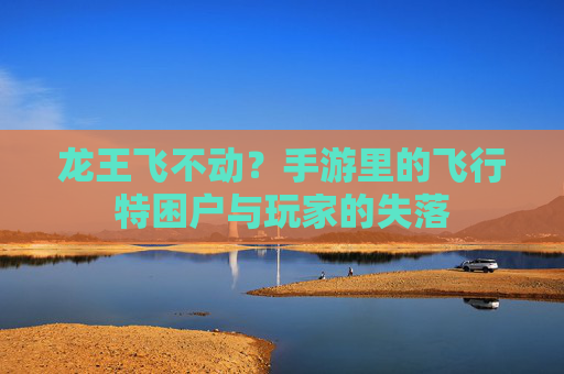 龙王飞不动?手游里的飞行特困户与玩家的失落 龙王飞不动?手游里的飞行特困户与玩家的失落