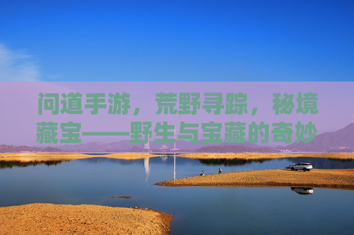 问道手游，荒野寻踪，秘境藏宝——野生与宝藏的奇妙邂逅