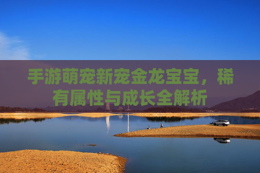 手游萌宠新宠金龙宝宝,稀有属性与成长全解析 手游萌宠新宠金龙宝宝,稀有属性与成长全解析