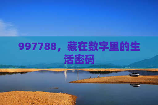 997788,藏在数字里的生活密码 997788,藏在数字里的生活密码