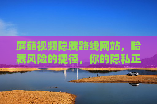 蘑菇视频隐藏路线网站,暗藏风险的捷径,你的隐私正被收割? 蘑菇视频隐藏路线网站,暗藏风险的捷径,你的隐私正被收割?