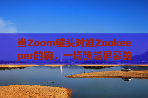 当Zoom镜头对准Zookeeper的狗,一场跨越屏幕的守护与治愈 当Zoom镜头对准Zookeeper的狗,一场跨越屏幕的守护与治愈