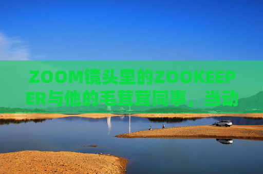 ZOOM镜头里的ZOOKEEPER与他的毛茸茸同事,当动物狗成为动物世界的云端使者 ZOOM镜头里的ZOOKEEPER与他的毛茸茸同事,当动物狗成为动物世界的云端使者