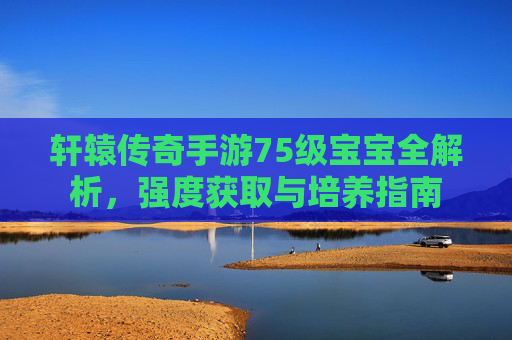 轩辕传奇手游75级宝宝全解析,强度获取与培养指南 轩辕传奇手游75级宝宝全解析,强度获取与培养指南
