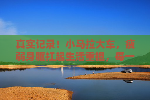 真实记录！小马拉大车，瘦弱身躯扛起生活重担，每一帧都是无声的坚韧