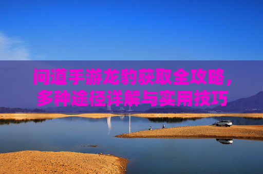 问道手游龙豹获取全攻略,多种途径详解与实用技巧 问道手游龙豹获取全攻略,多种途径详解与实用技巧