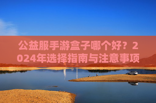 公益服手游盒子哪个好？2024年选择指南与注意事项