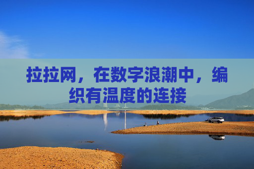 拉拉网,在数字浪潮中,编织有温度的连接 拉拉网,在数字浪潮中,编织有温度的连接