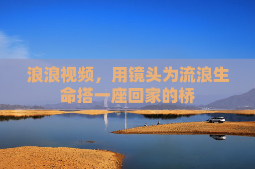 浪浪视频,用镜头为流浪生命搭一座回家的桥 浪浪视频,用镜头为流浪生命搭一座回家的桥