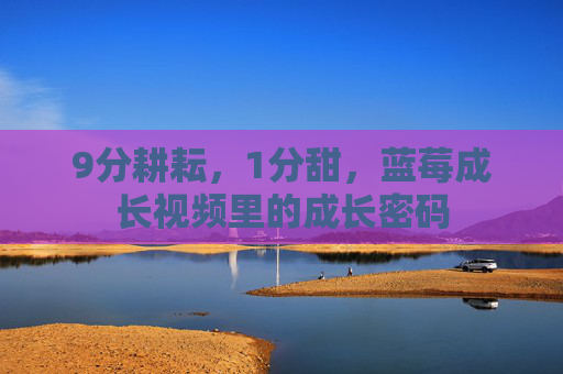 9分耕耘,1分甜,蓝莓成长视频里的成长密码 9分耕耘,1分甜,蓝莓成长视频里的成长密码
