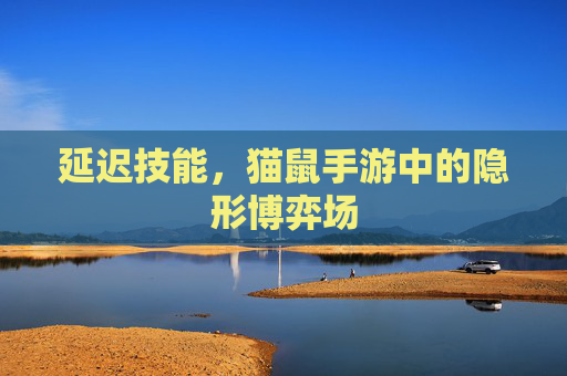 延迟技能，猫鼠手游中的隐形博弈场