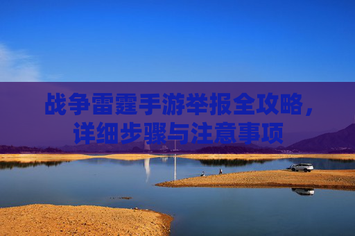 战争雷霆手游举报全攻略,详细步骤与注意事项 战争雷霆手游举报全攻略,详细步骤与注意事项