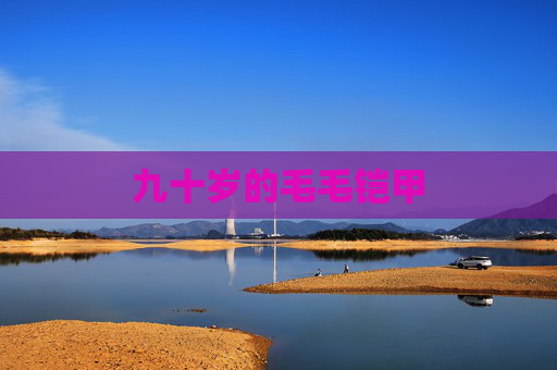 九十岁的毛毛铠甲 九十岁的毛毛铠甲
