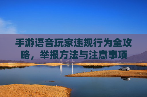 手游语音玩家违规行为全攻略,举报方法与注意事项 手游语音玩家违规行为全攻略,举报方法与注意事项