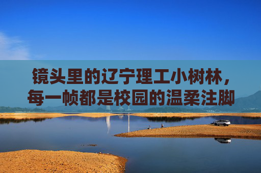 镜头里的辽宁理工小树林,每一帧都是校园的温柔注脚 镜头里的辽宁理工小树林,每一帧都是校园的温柔注脚