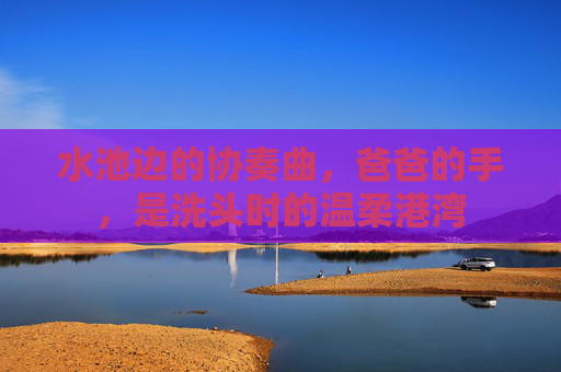 水池边的协奏曲,爸爸的手,是洗头时的温柔港湾 水池边的协奏曲,爸爸的手,是洗头时的温柔港湾