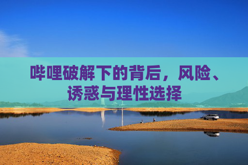 哔哩破解下的背后,风险、诱惑与理性选择 哔哩破解下的背后,风险、诱惑与理性选择