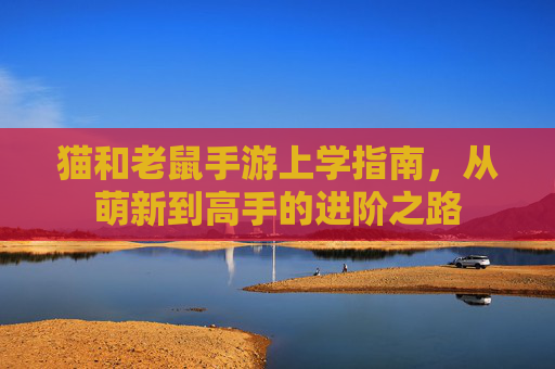 猫和老鼠手游上学指南，从萌新到高手的进阶之路