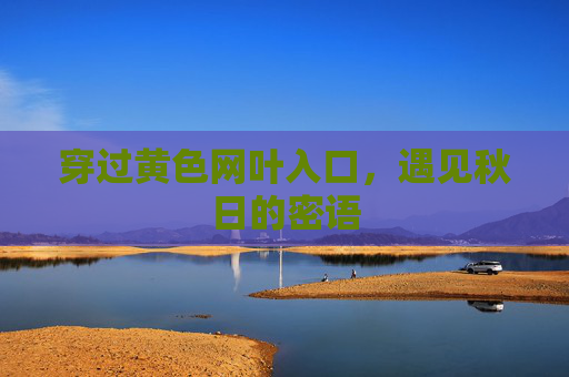 穿过黄色网叶入口，遇见秋日的密语