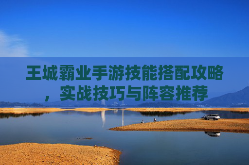 王城霸业手游技能搭配攻略,实战技巧与阵容推荐 王城霸业手游技能搭配攻略,实战技巧与阵容推荐