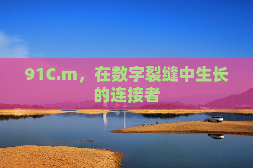 91C.m,在数字裂缝中生长的连接者 91C.m,在数字裂缝中生长的连接者