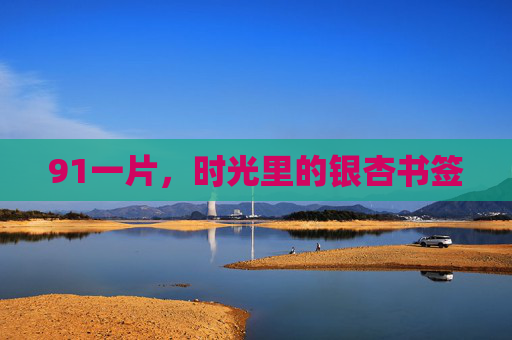 91一片,时光里的银杏书签 91一片,时光里的银杏书签