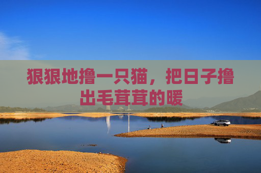 狠狠地撸一只猫,把日子撸出毛茸茸的暖 狠狠地撸一只猫,把日子撸出毛茸茸的暖