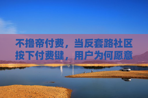 不撸帝付费,当反套路社区按下付费键,用户为何愿意买单? 不撸帝付费,当反套路社区按下付费键,用户为何愿意买单?