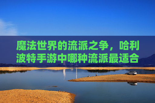 魔法世界的流派之争,哈利波特手游中哪种流派最适合你? 魔法世界的流派之争,哈利波特手游中哪种流派最适合你?