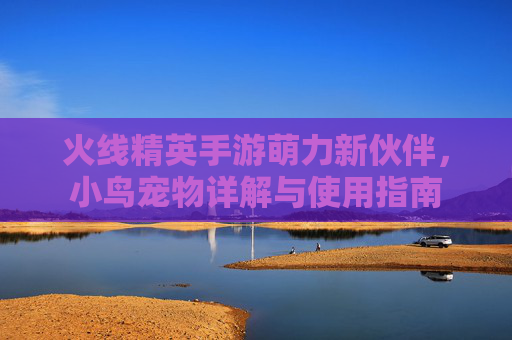 火线精英手游萌力新伙伴，小鸟宠物详解与使用指南