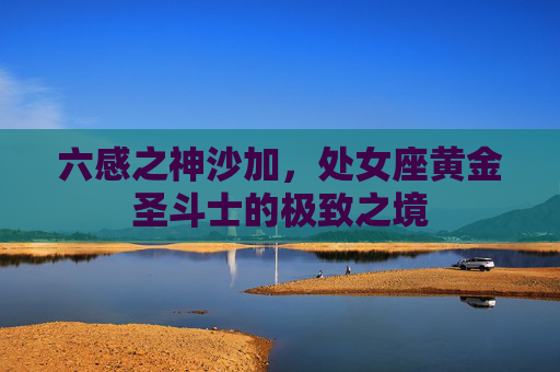 六感之神沙加,处女座黄金圣斗士的极致之境 六感之神沙加,处女座黄金圣斗士的极致之境