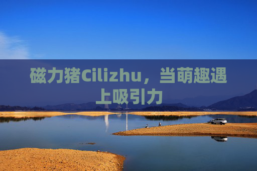 磁力猪Cilizhu,当萌趣遇上吸引力 磁力猪Cilizhu,当萌趣遇上吸引力