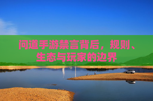 问道手游禁言背后,规则、生态与玩家的边界 问道手游禁言背后,规则、生态与玩家的边界