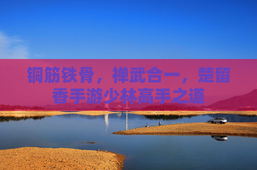 铜筋铁骨,禅武合一,楚留香手游少林高手之道 铜筋铁骨,禅武合一,楚留香手游少林高手之道