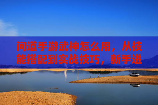 问道手游武神怎么用,从技能搭配到实战技巧,新手进阶全攻略 问道手游武神怎么用,从技能搭配到实战技巧,新手进阶全攻略