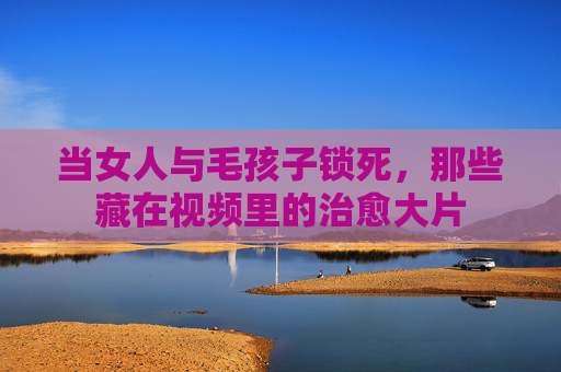 当女人与毛孩子锁死,那些藏在视频里的治愈大片 当女人与毛孩子锁死,那些藏在视频里的治愈大片