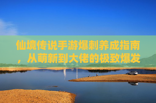 仙境传说手游爆刺养成指南,从萌新到大佬的极致爆发之路 仙境传说手游爆刺养成指南,从萌新到大佬的极致爆发之路