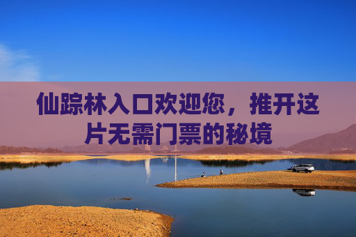 仙踪林入口欢迎您,推开这片无需门票的秘境 仙踪林入口欢迎您,推开这片无需门票的秘境
