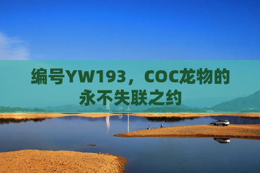 编号YW193，COC龙物的永不失联之约