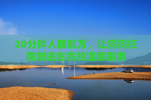 20分钟人胶配方,让狗狗把你刻进生命的温柔指南 20分钟人胶配方,让狗狗把你刻进生命的温柔指南
