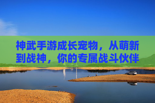 神武手游成长宠物，从萌新到战神，你的专属战斗伙伴