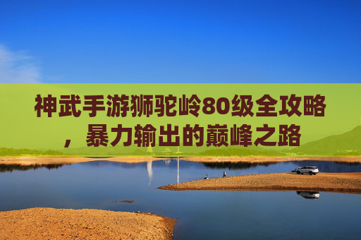神武手游狮驼岭80级全攻略，暴力输出的巅峰之路