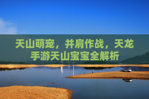 天山萌宠,并肩作战,天龙手游天山宝宝全解析 天山萌宠,并肩作战,天龙手游天山宝宝全解析