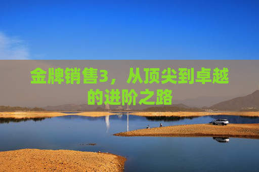 金牌销售3,从顶尖到卓越的进阶之路 金牌销售3,从顶尖到卓越的进阶之路