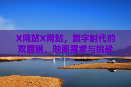 X网站X网站,数字时代的双面镜,映照需求与挑战 X网站X网站,数字时代的双面镜,映照需求与挑战