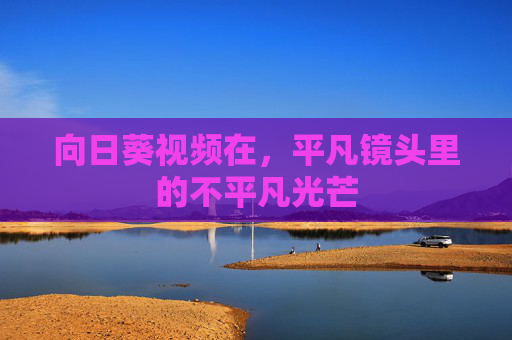 向日葵视频在,平凡镜头里的不平凡光芒 向日葵视频在,平凡镜头里的不平凡光芒