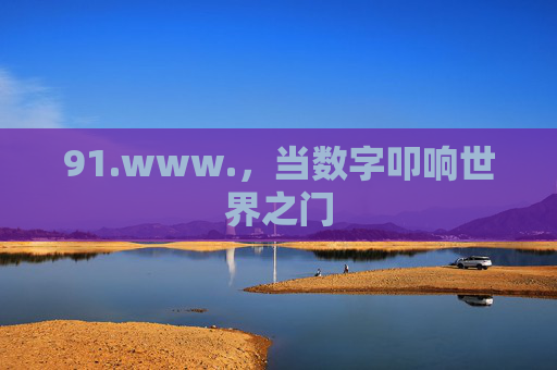 91.www.,当数字叩响世界之门 91.www.,当数字叩响世界之门