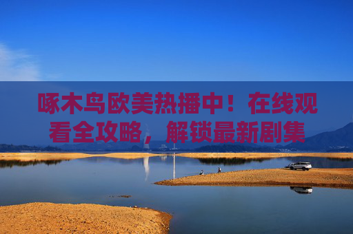 啄木鸟欧美热播中!在线观看全攻略,解锁最新剧集 啄木鸟欧美热播中!在线观看全攻略,解锁最新剧集