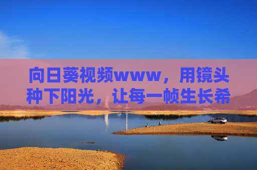 向日葵视频www,用镜头种下阳光,让每一帧生长希望 向日葵视频www,用镜头种下阳光,让每一帧生长希望